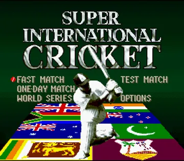 Super International Cricket (Europe) screen shot title